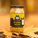 Pyłek pszczeli mikronizowany mielony